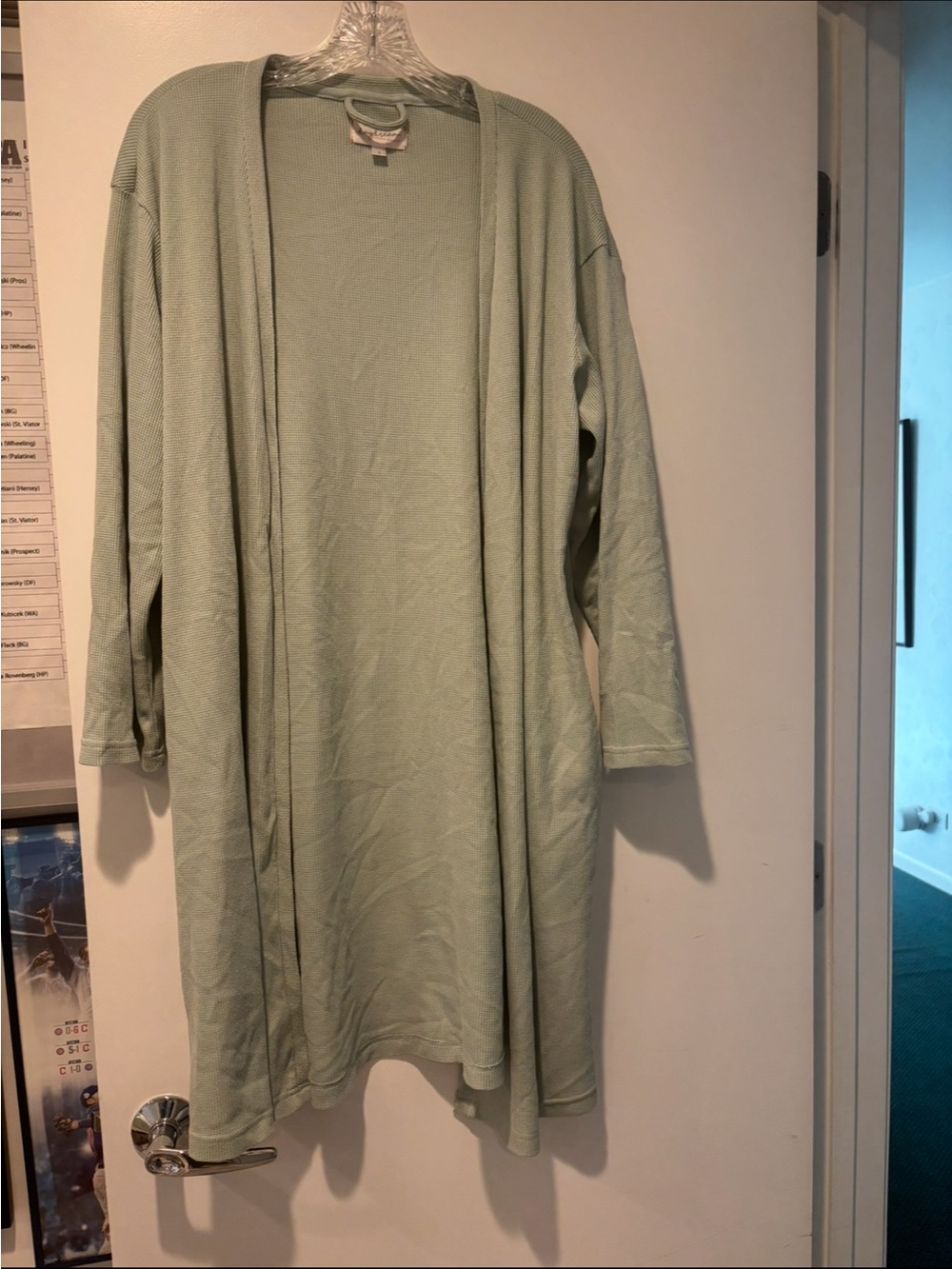 DAYDREAM, Mint Green Light Sage Open-Front Long Cardigan, Size Large